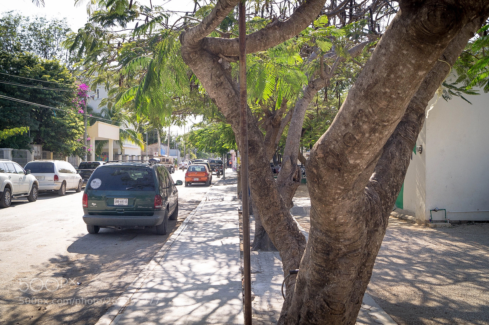 Sony SLT-A37 sample photo. Calle tulum q. roo photography