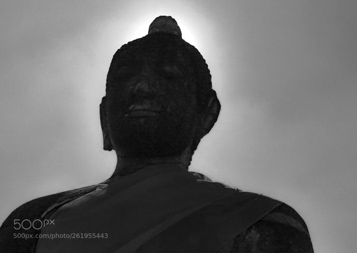 Nikon D500 sample photo. Buddha photography