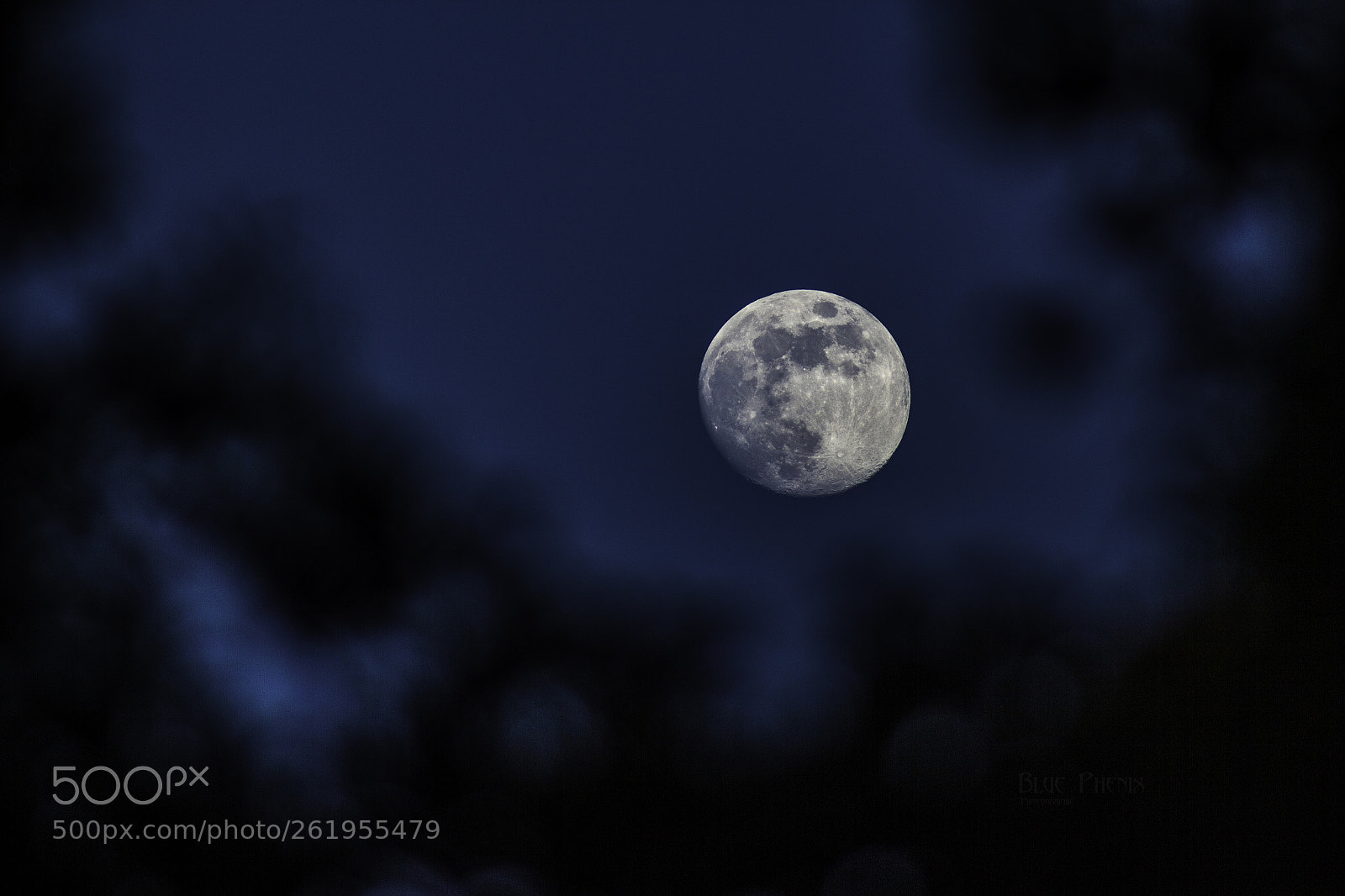 Canon EOS 550D (EOS Rebel T2i / EOS Kiss X4) sample photo. To the moon ! photography