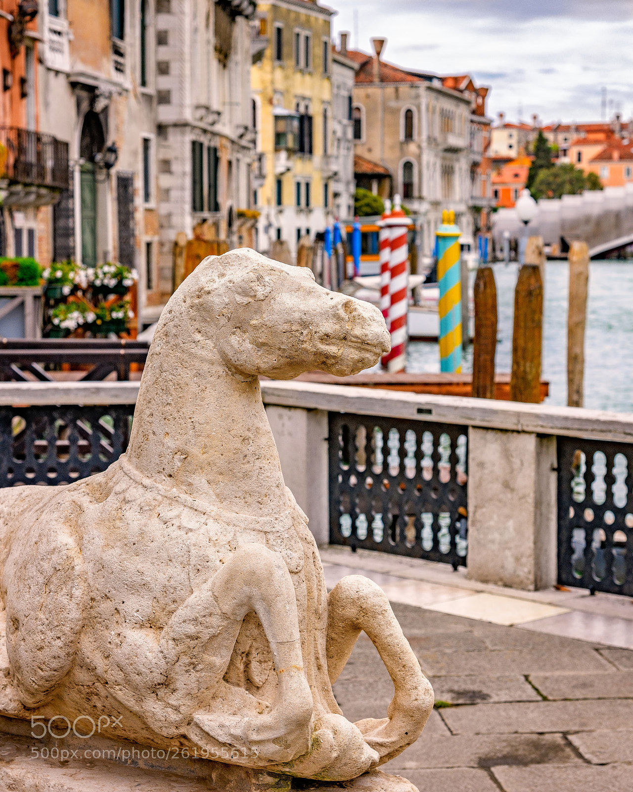 Nikon D850 sample photo. Stone horse photography