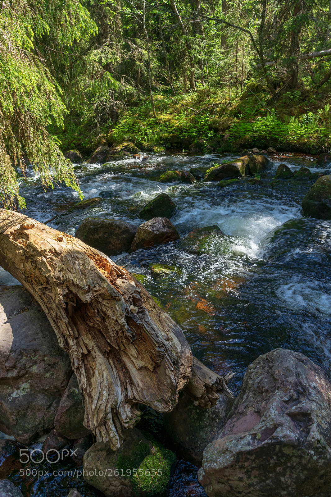 Sony a7 II sample photo. Stream in fulufjället 1 photography