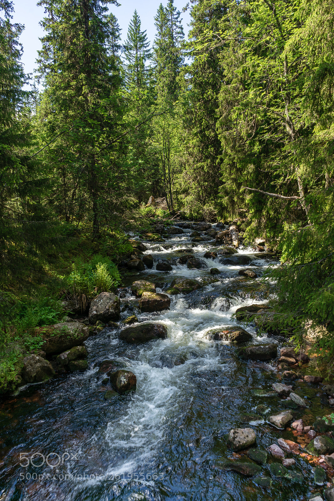 Sony a7 II sample photo. Stream in fulufjället 2 photography
