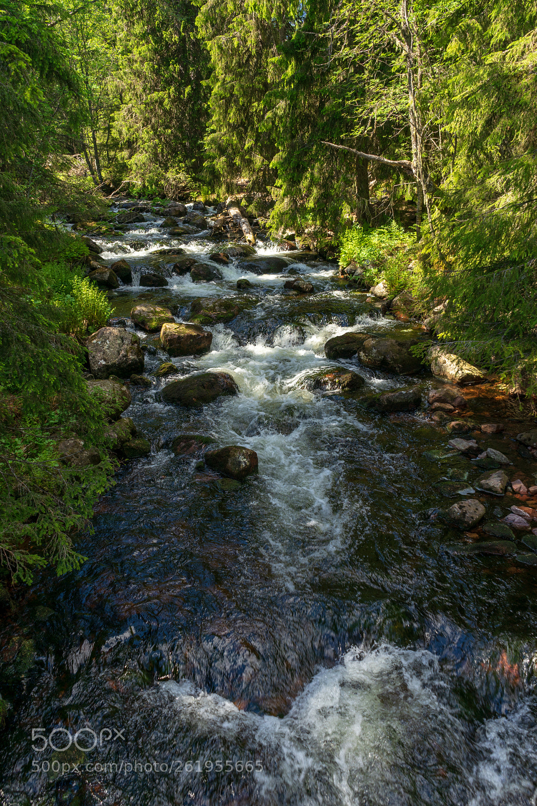 Sony a7 II sample photo. Stream in fulufjället 3 photography