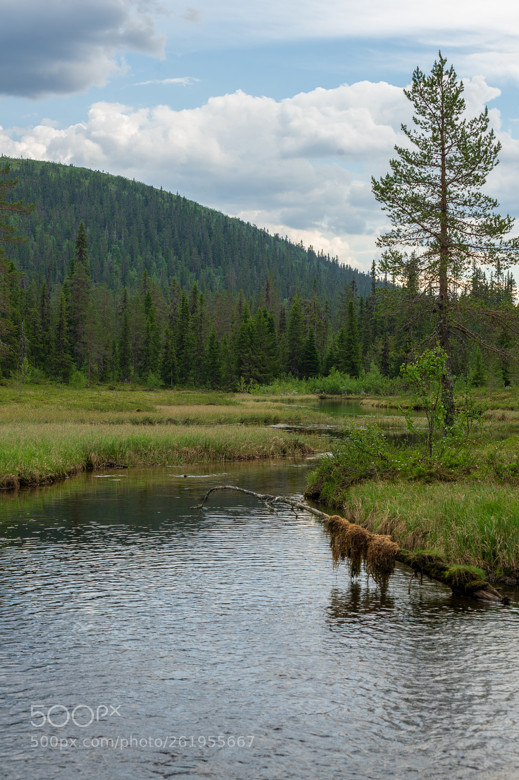 Sony a7 II sample photo. Sälen 1 photography