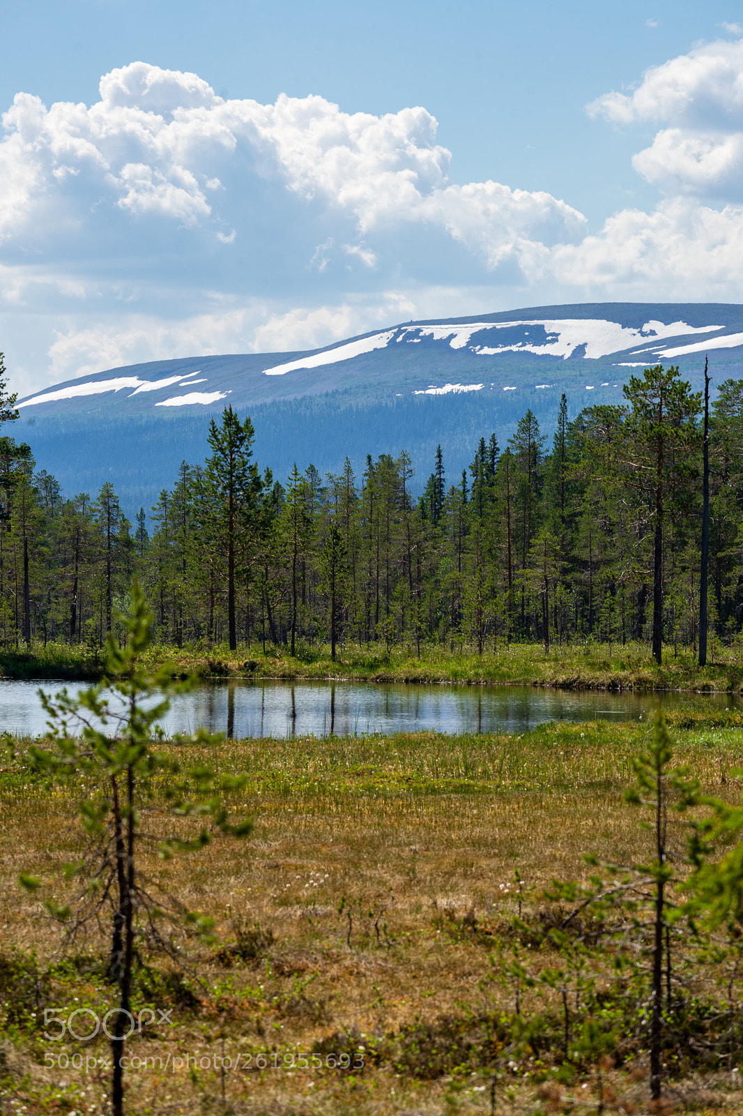 Sony a7 II sample photo. Fulufjället in summer photography