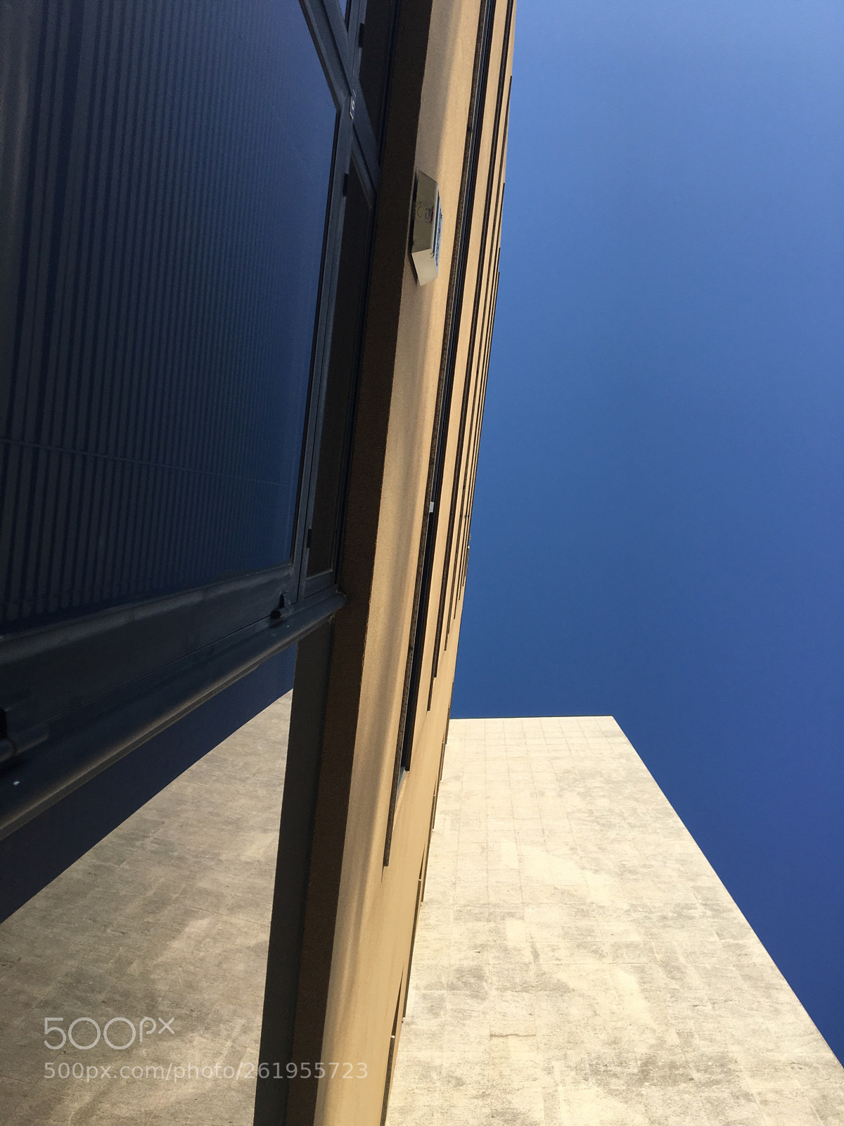 Apple iPhone 6s sample photo. Untitled photography