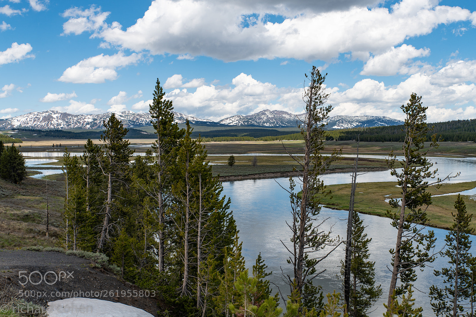 Nikon D850 sample photo. Hayden valley, yellowstone in photography