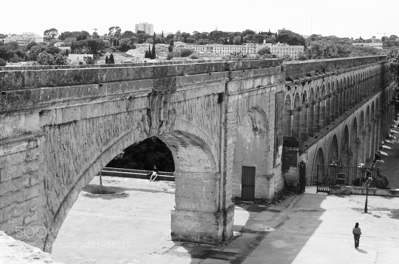 Canon EOS 750D (EOS Rebel T6i / EOS Kiss X8i) sample photo. French bridge photography