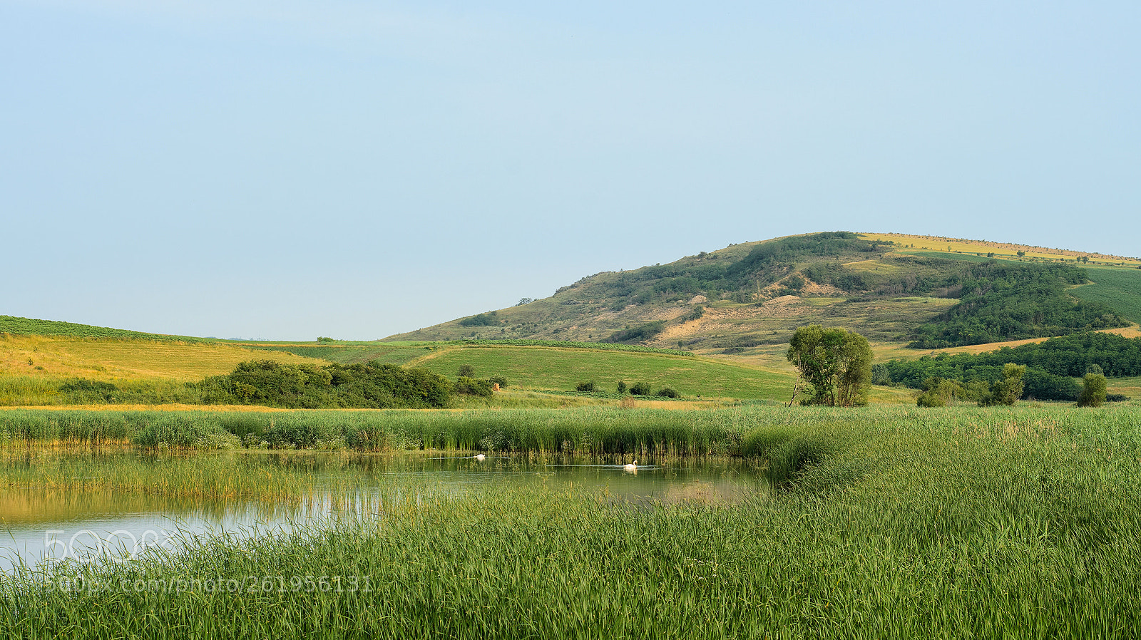 Nikon D7000 sample photo. Summer on the shore photography