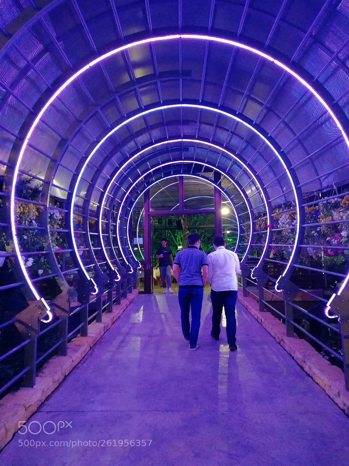 HUAWEI nova 2 Plus sample photo. Neon photography
