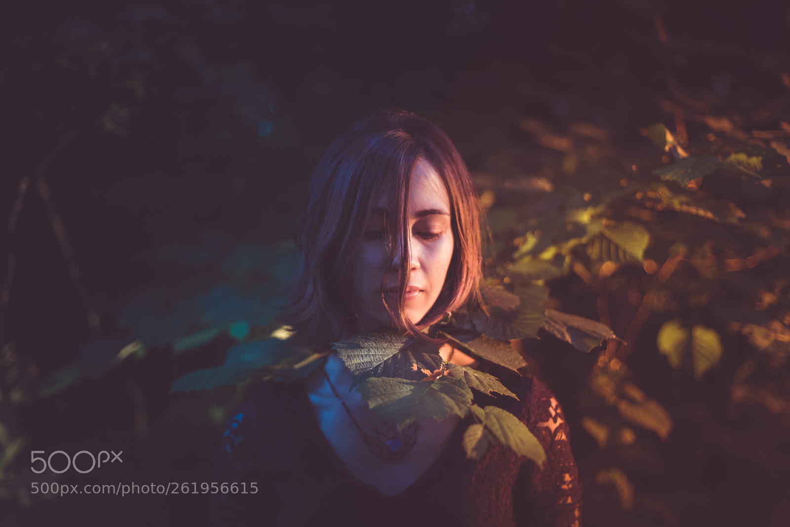 Canon EOS 6D Mark II sample photo. Woods daydream photography