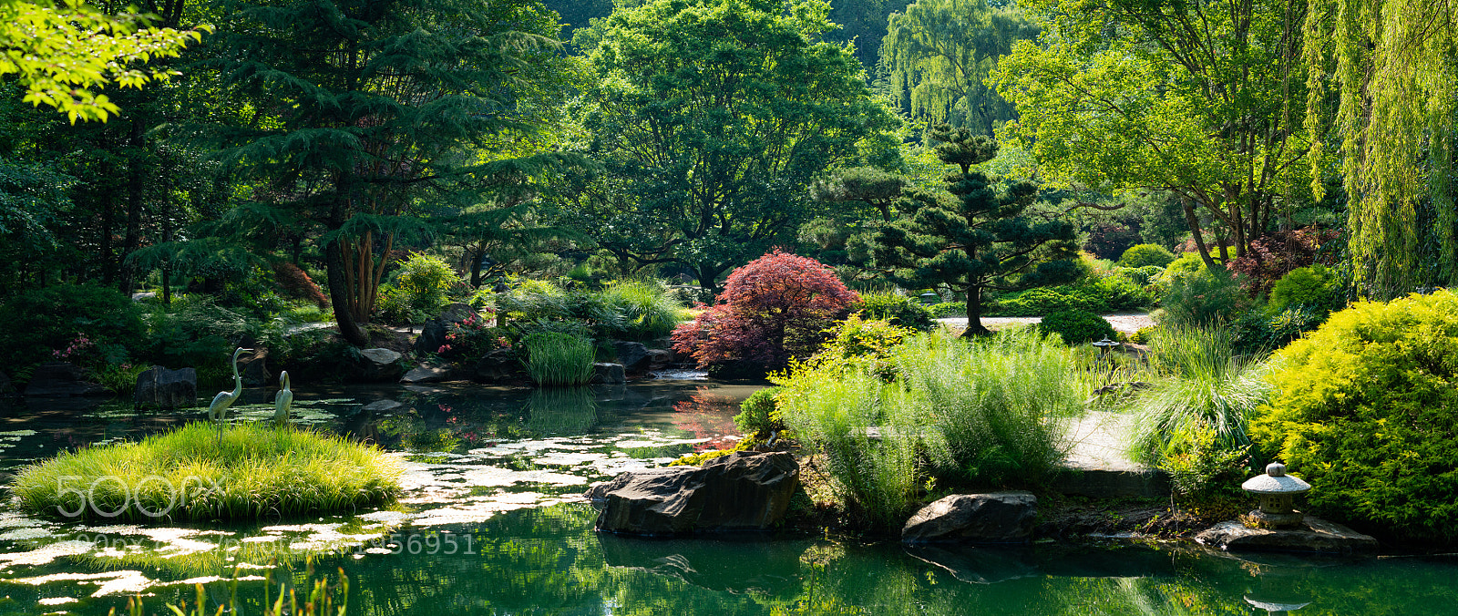 Sony a7R III sample photo. Pano gibbs gardens photography