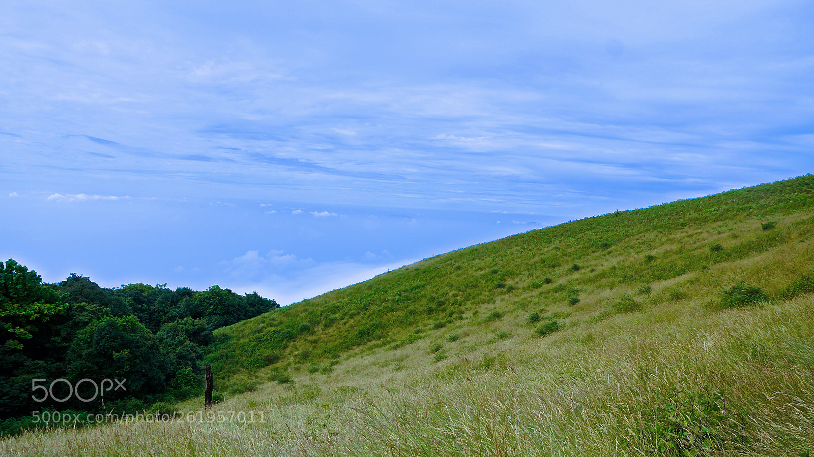 Sony SLT-A77 sample photo. Beautiful nature creation 5 photography