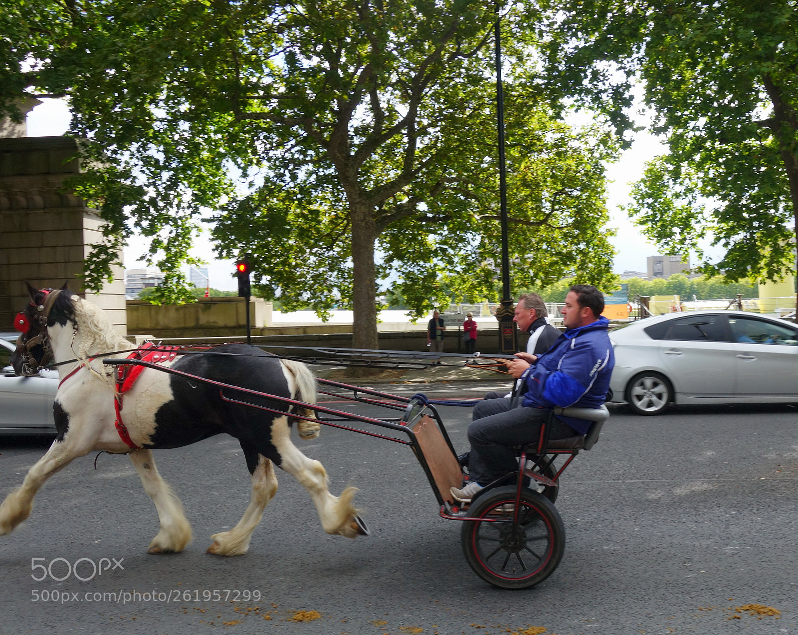 Sony Cyber-shot DSC-RX100 II sample photo. Horses in london photography