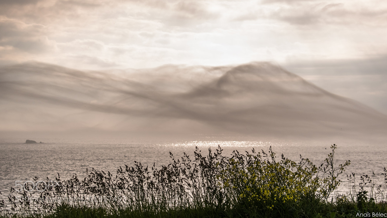 Nikon D5500 sample photo. Untitled photography