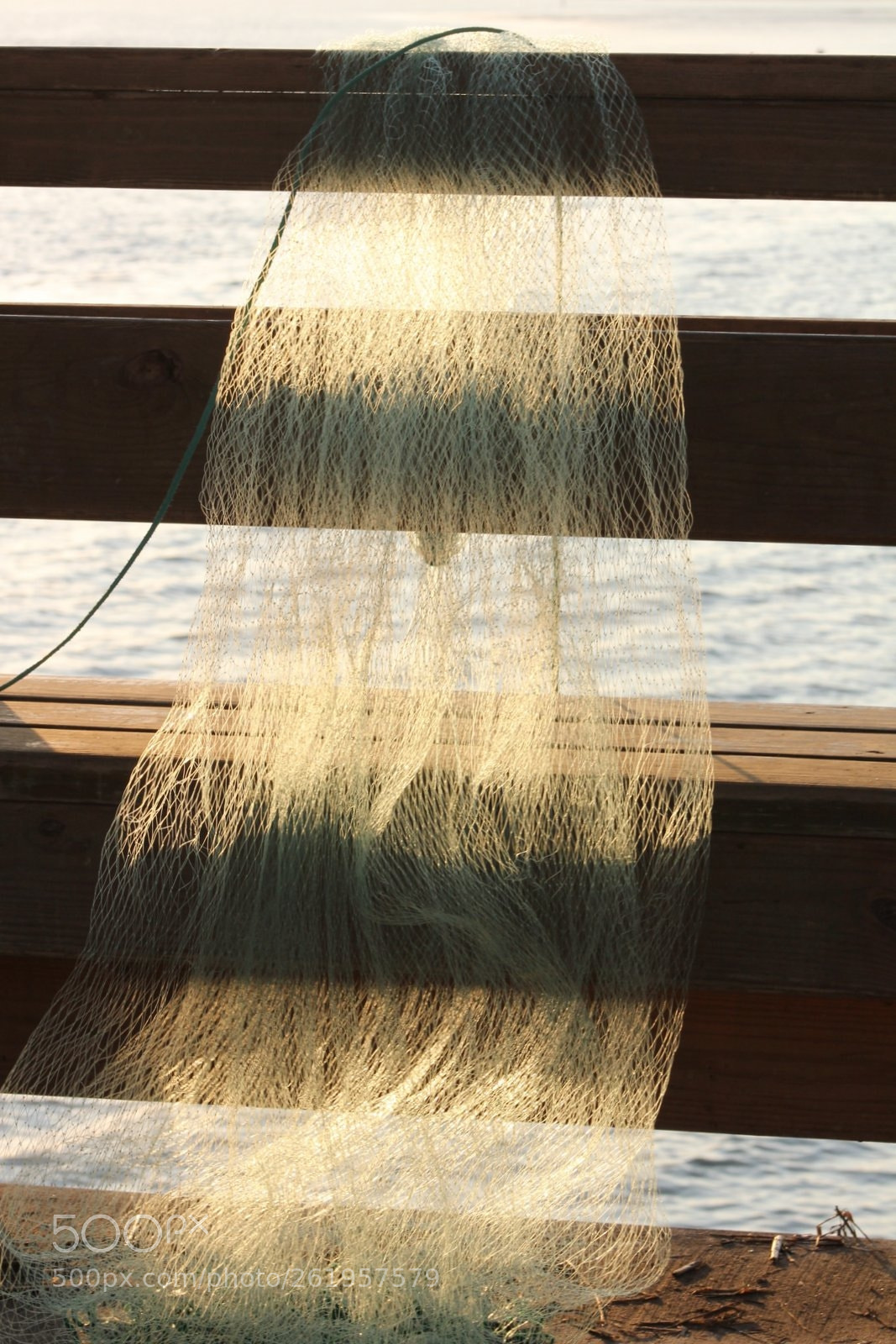 Canon EF 75-300mm f/4-5.6 sample photo. Shrimp and fish net photography