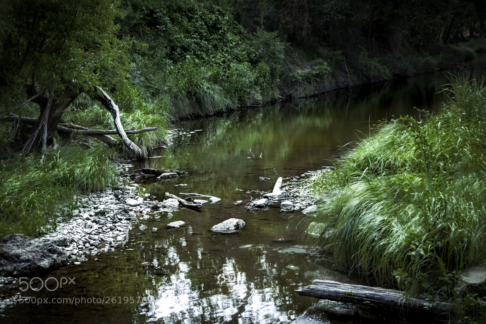 Canon EOS 650D (EOS Rebel T4i / EOS Kiss X6i) sample photo. Creek bed photography