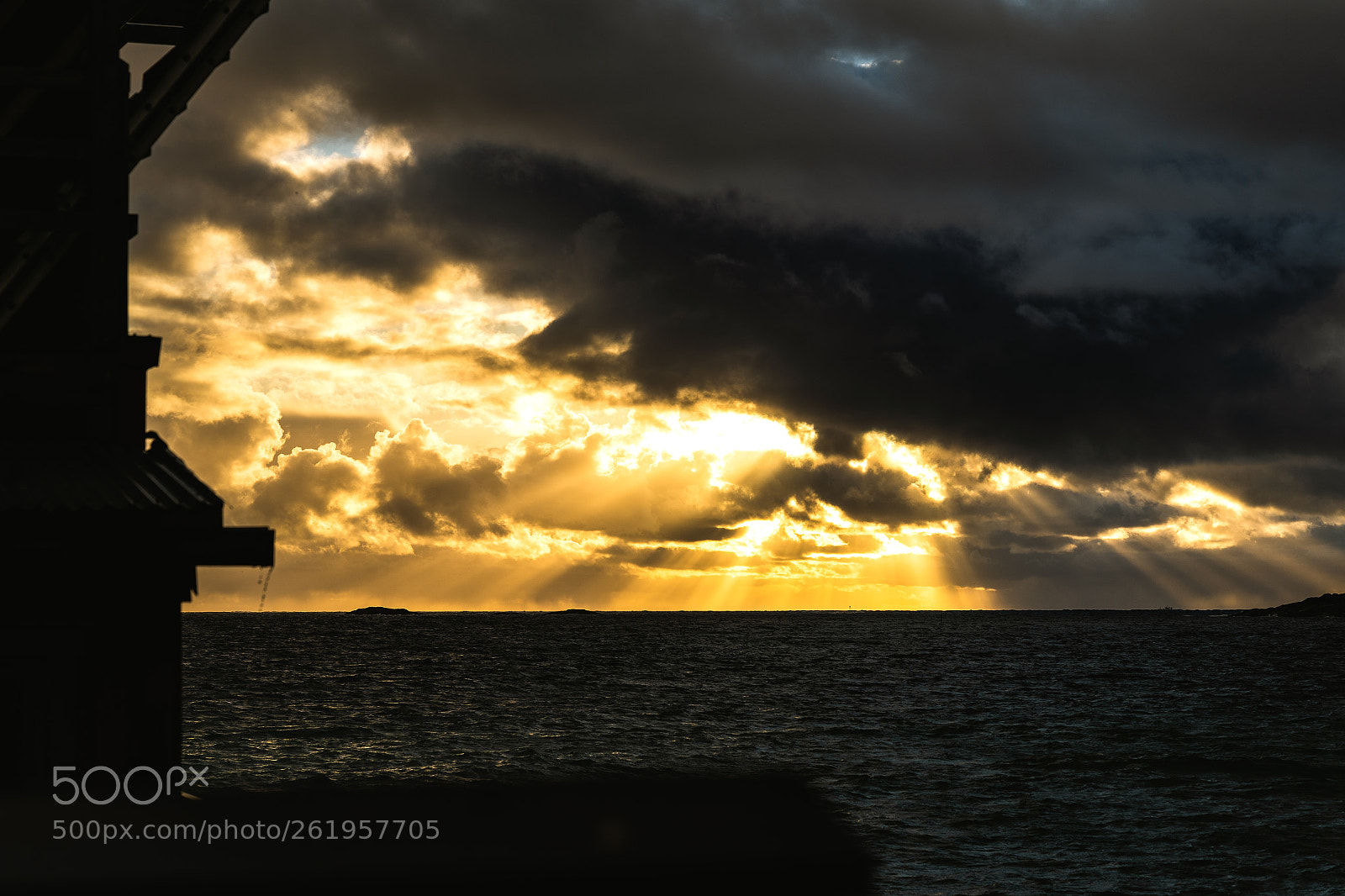 Sony a7 III sample photo. Dsc photography