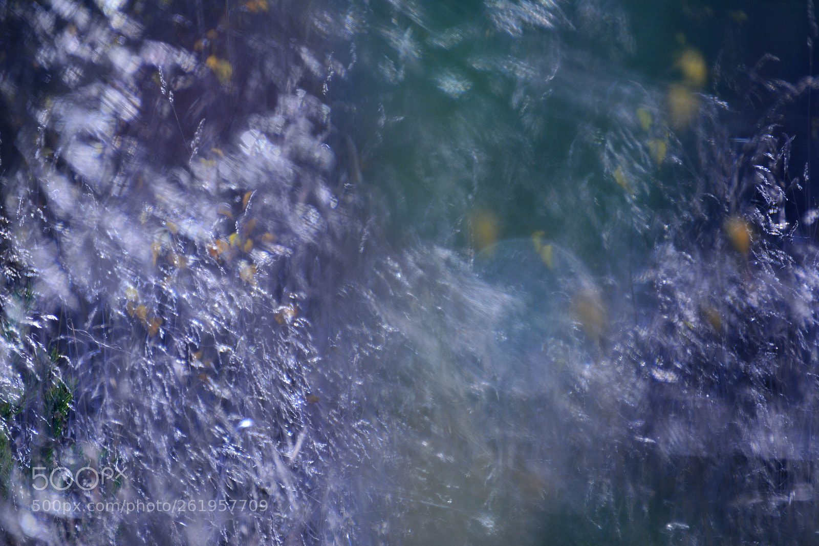 Nikon D7100 sample photo. Violet autumn photography