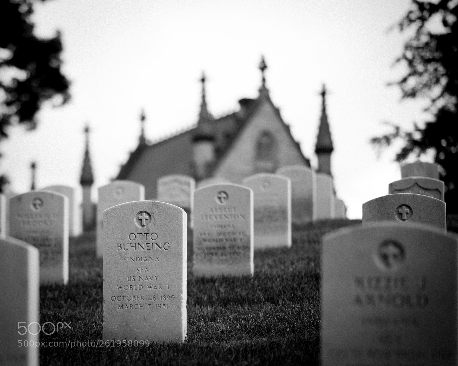 Nikon D750 sample photo. Sacrifice photography