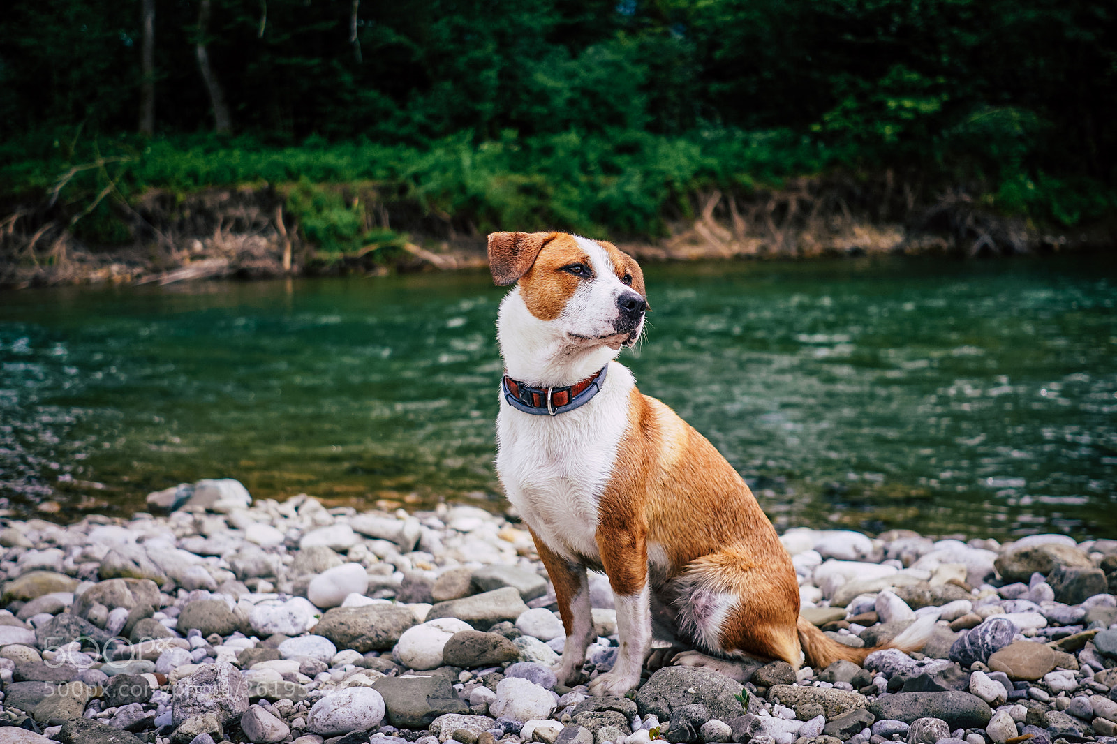 Sony a7 III sample photo. The six sense photography