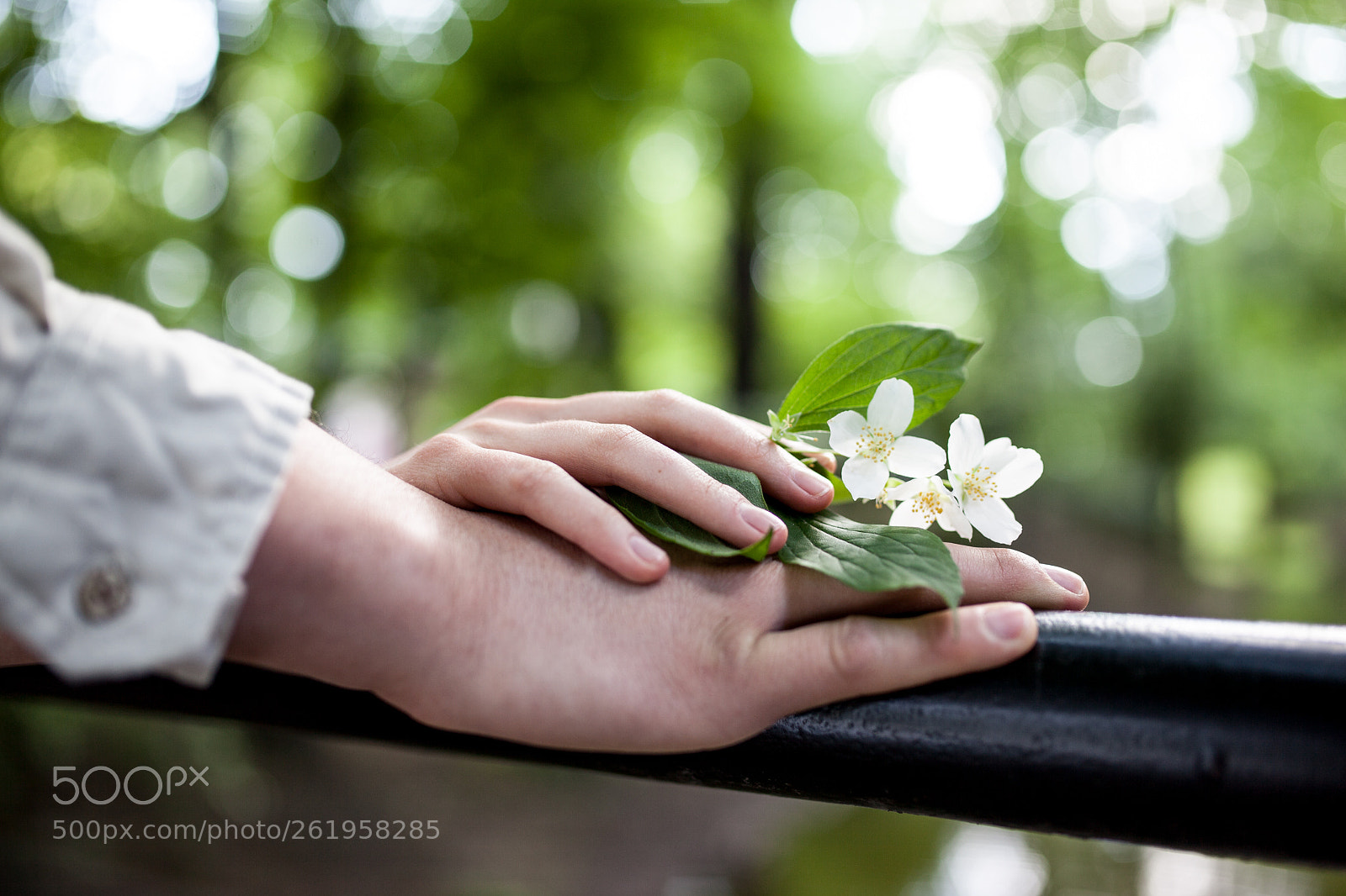 Canon EOS 5D Mark II sample photo. Mg photography
