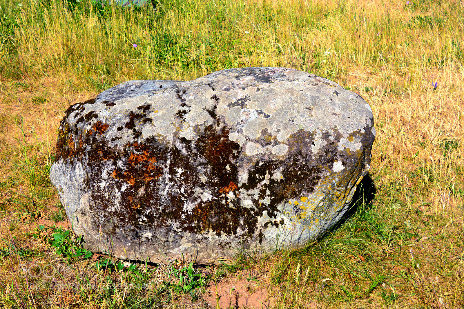 Nikon D5200 sample photo. Untitled. photography