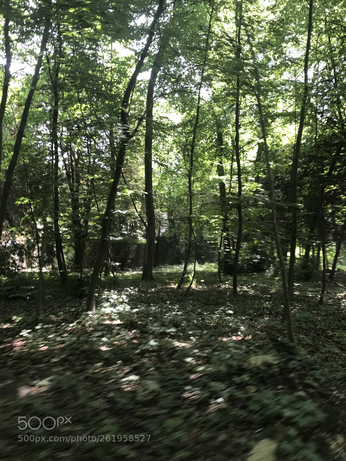 Apple iPhone 7 sample photo. Untitled photography