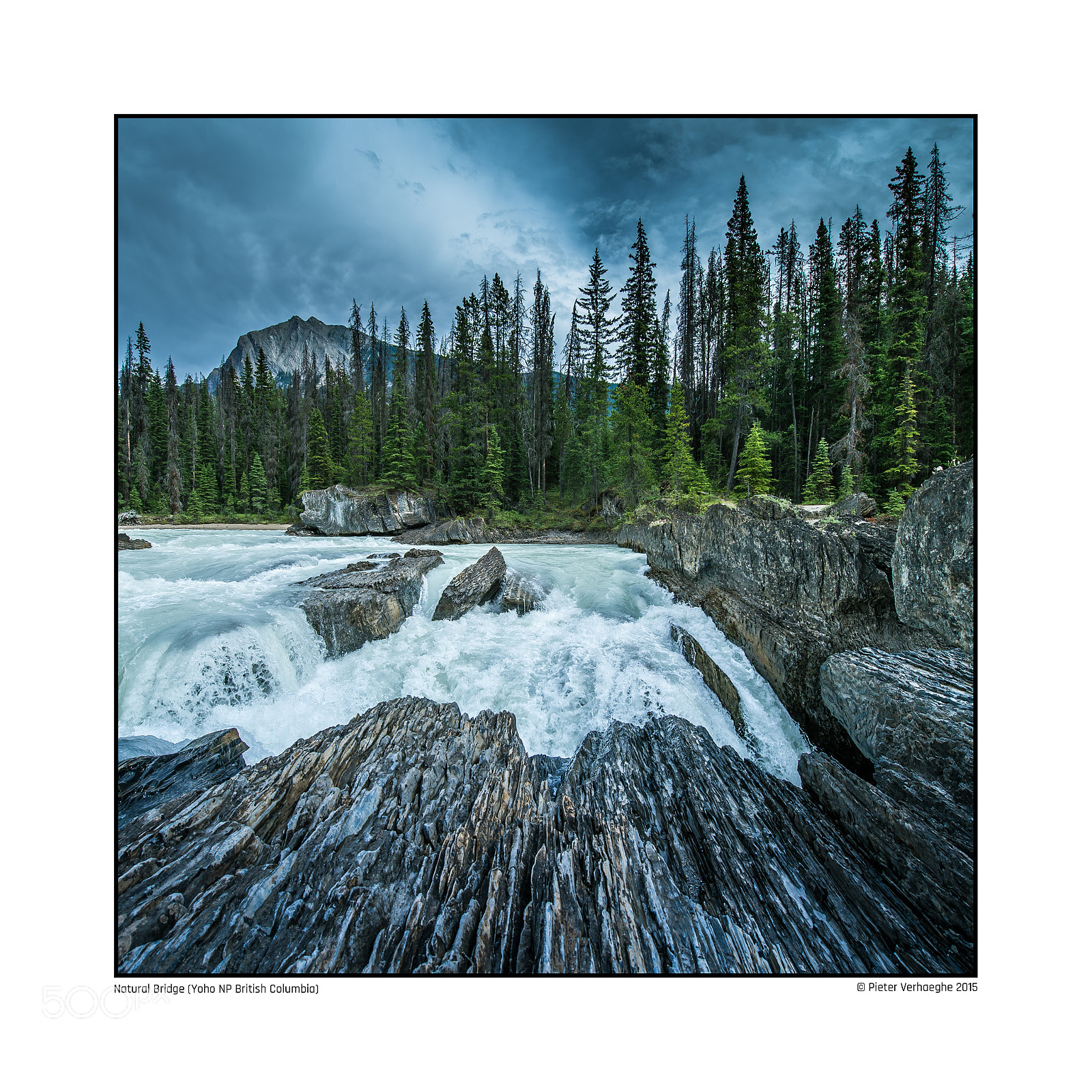 Nikon D4 sample photo. Yoho np photography