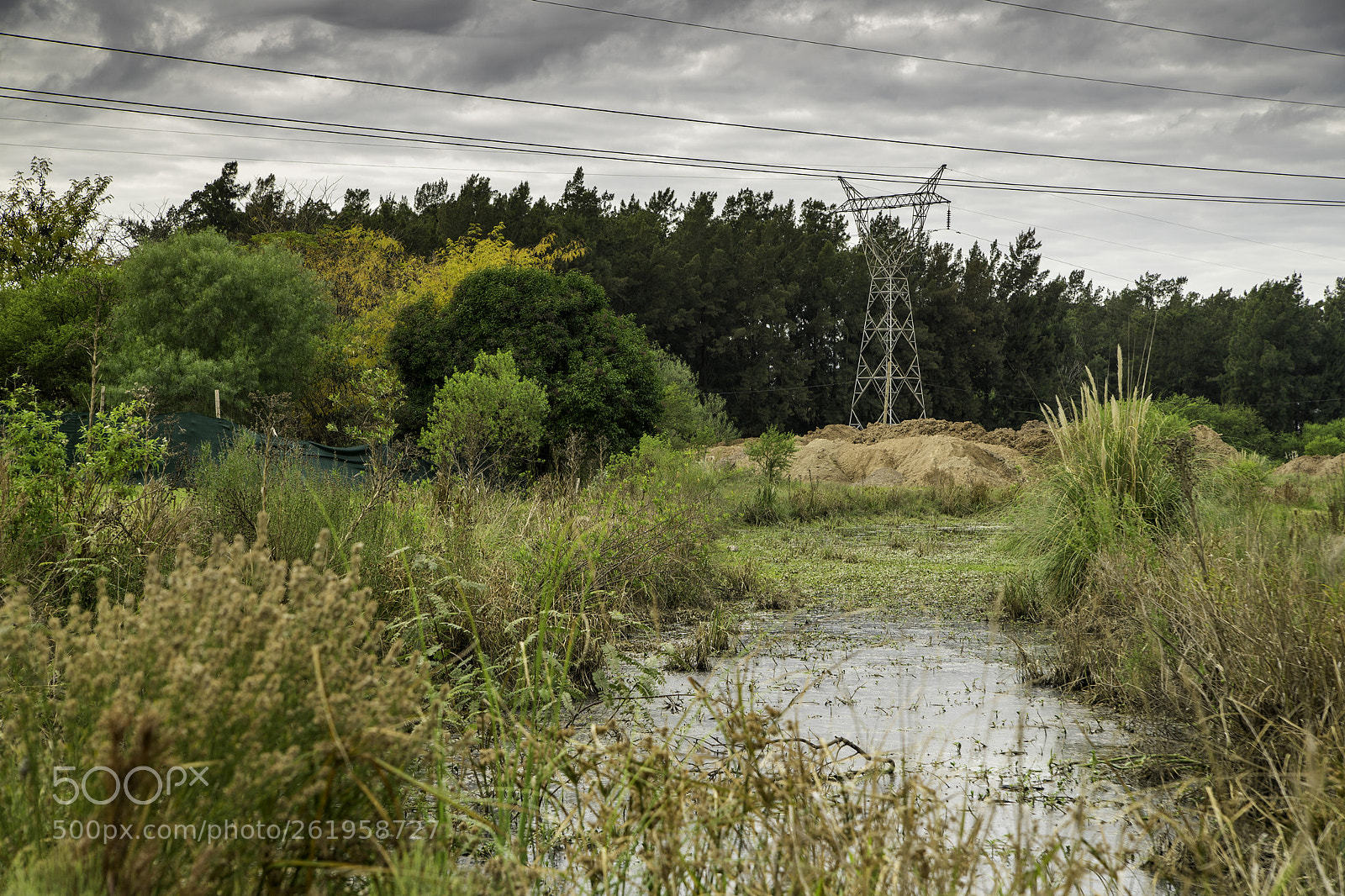 Sony a7 II sample photo. Autumn colors photography