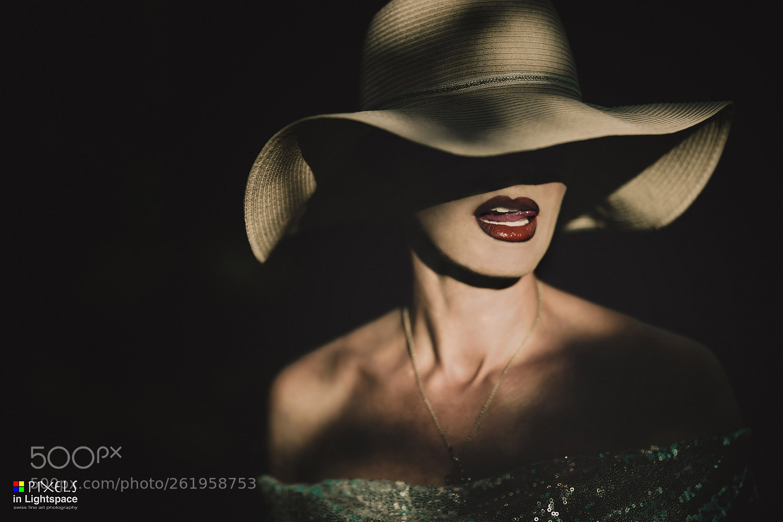 Nikon D850 sample photo. Where there is light photography