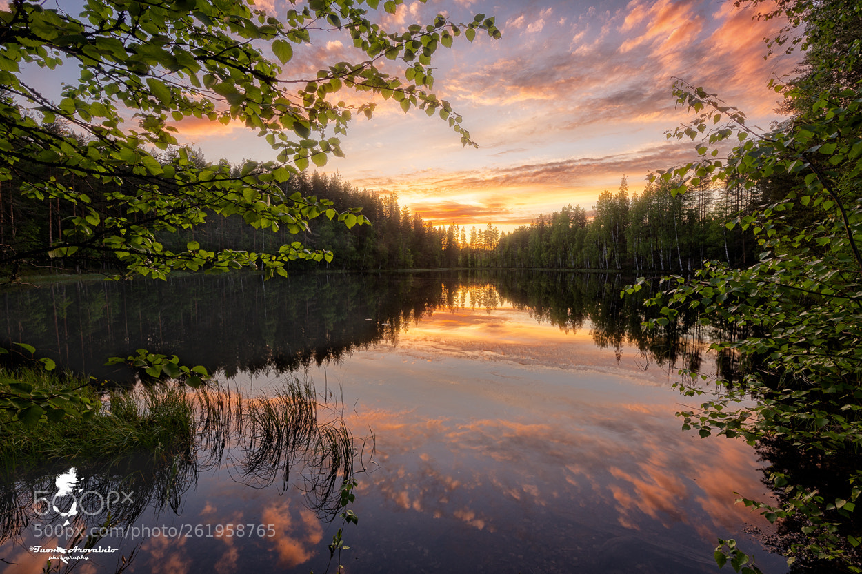 Canon EOS 6D sample photo. Darkness in midsummer photography