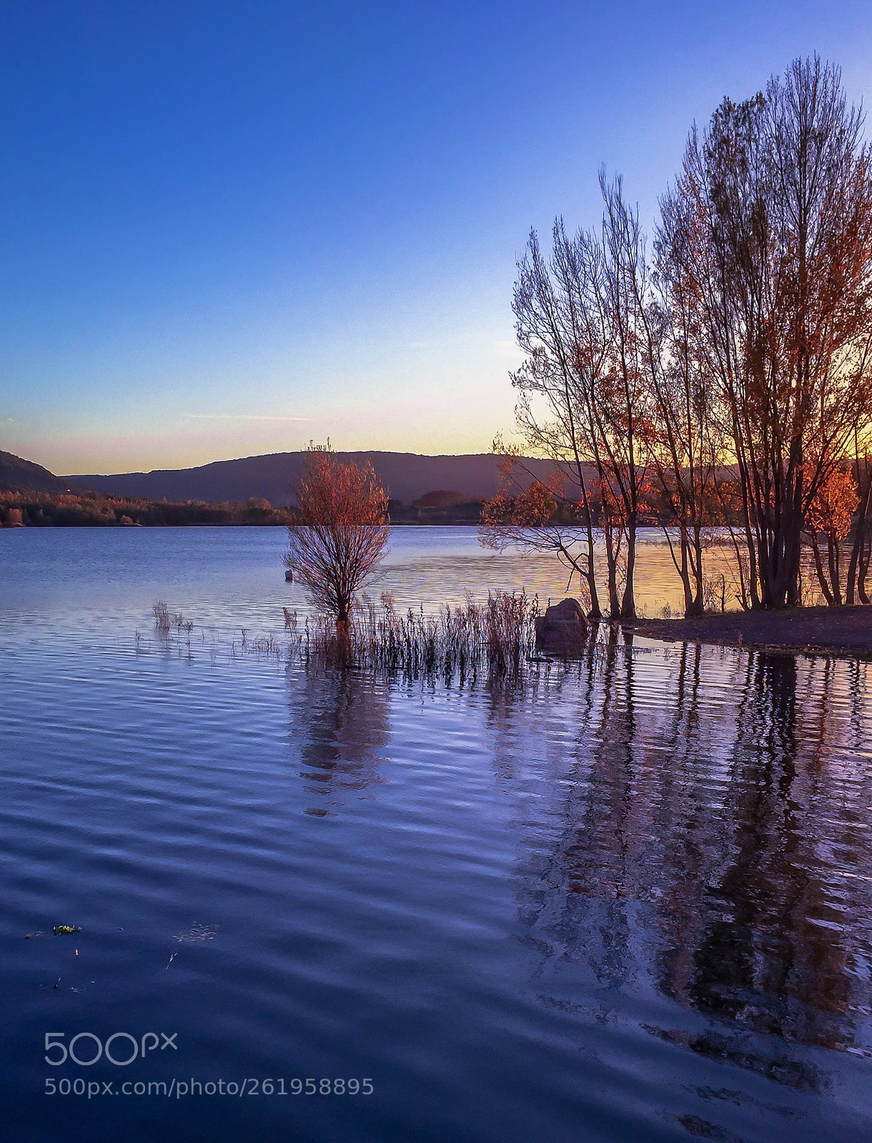 Apple iPhone 6 sample photo. Blue hour,  salagou's lake photography