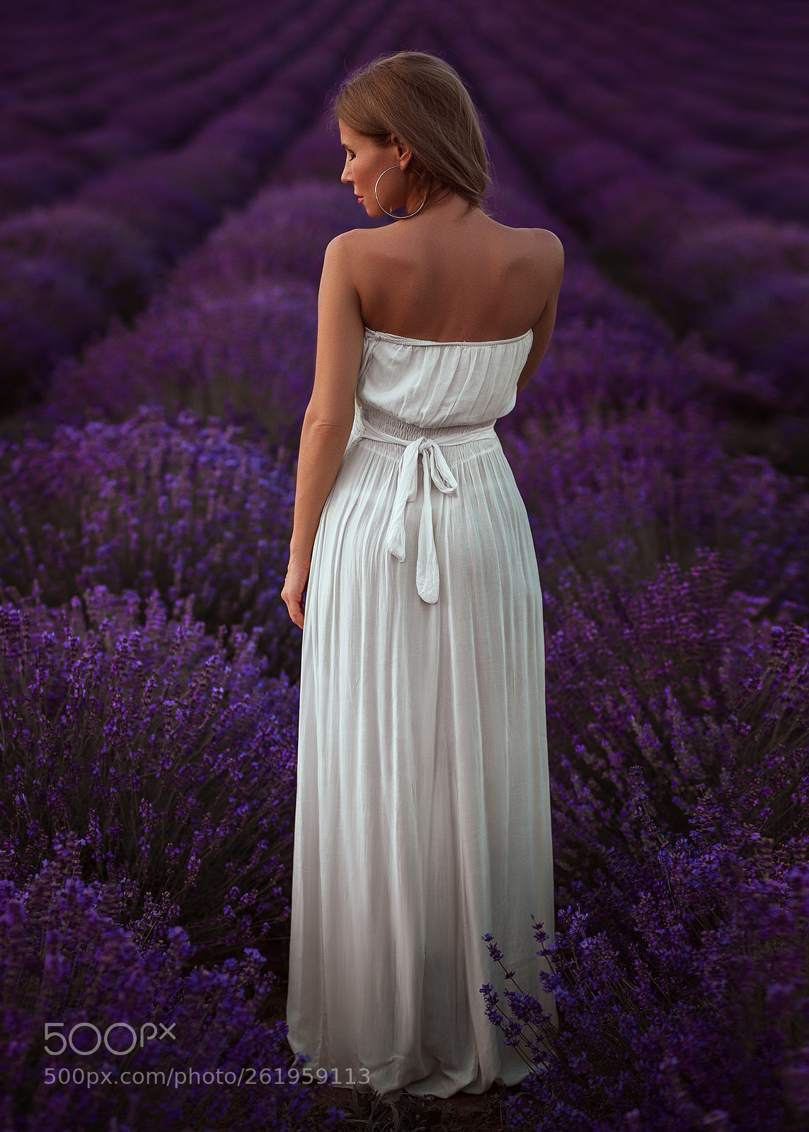 Canon EOS 6D sample photo. Lavender photography