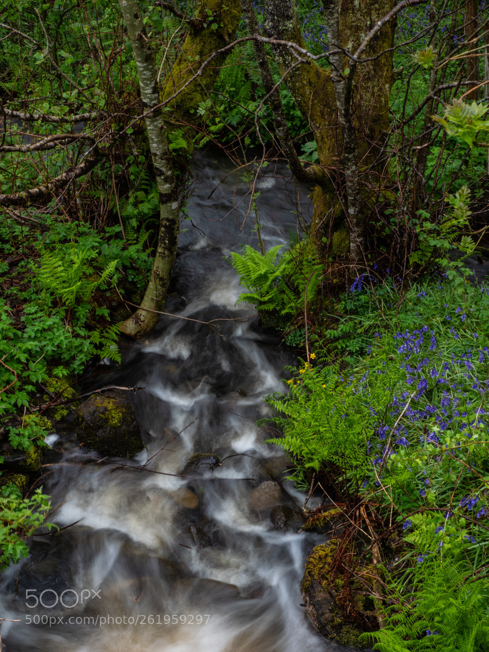 Olympus OM-D E-M1 Mark II sample photo. Scotland photography