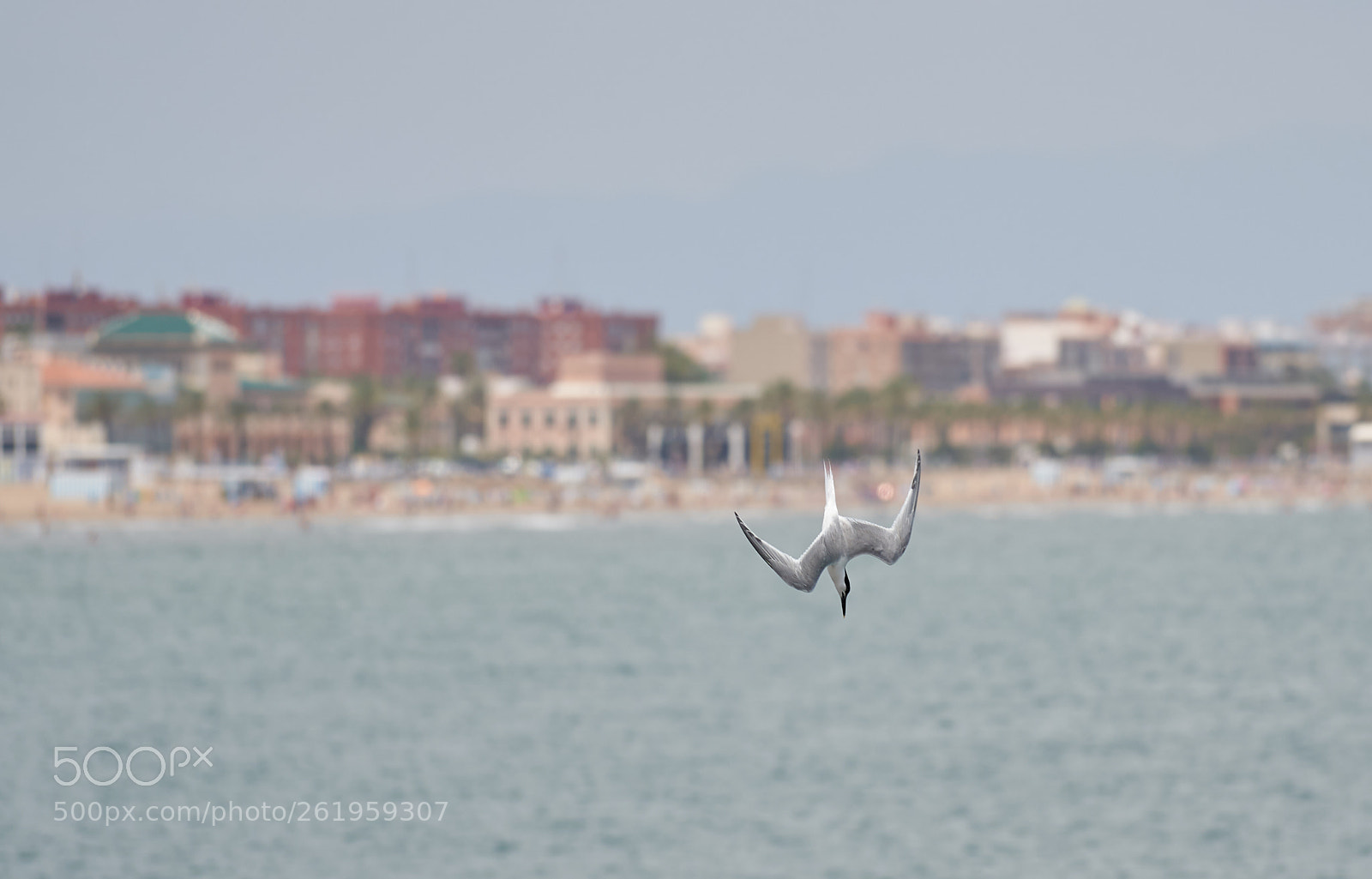 Sony a7 III sample photo. F-18 advanced super hornet photography