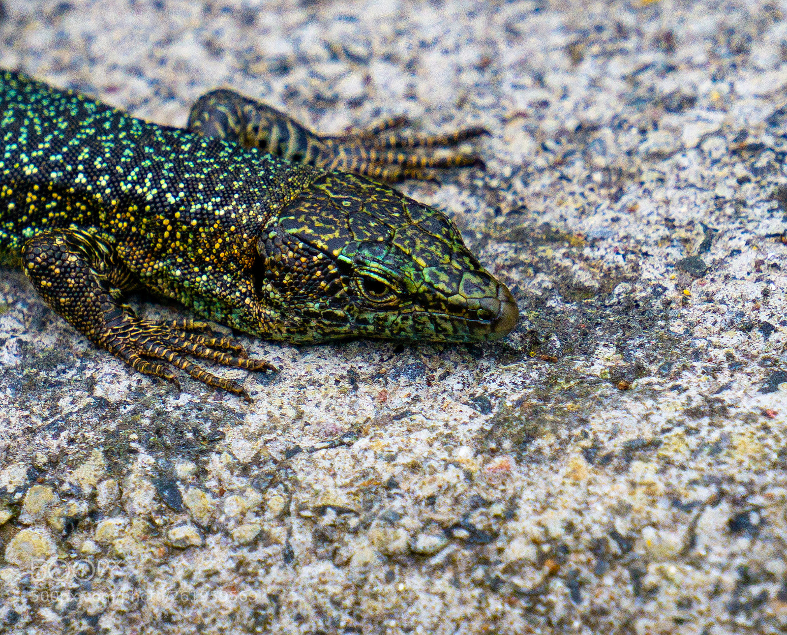 Sony a6000 sample photo. Dsc photography