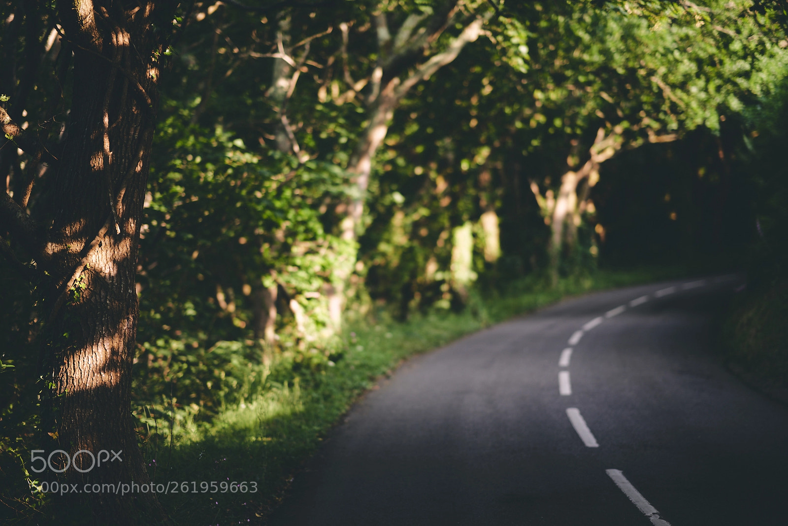 Sony a7R III sample photo. Day one hundred sixty photography