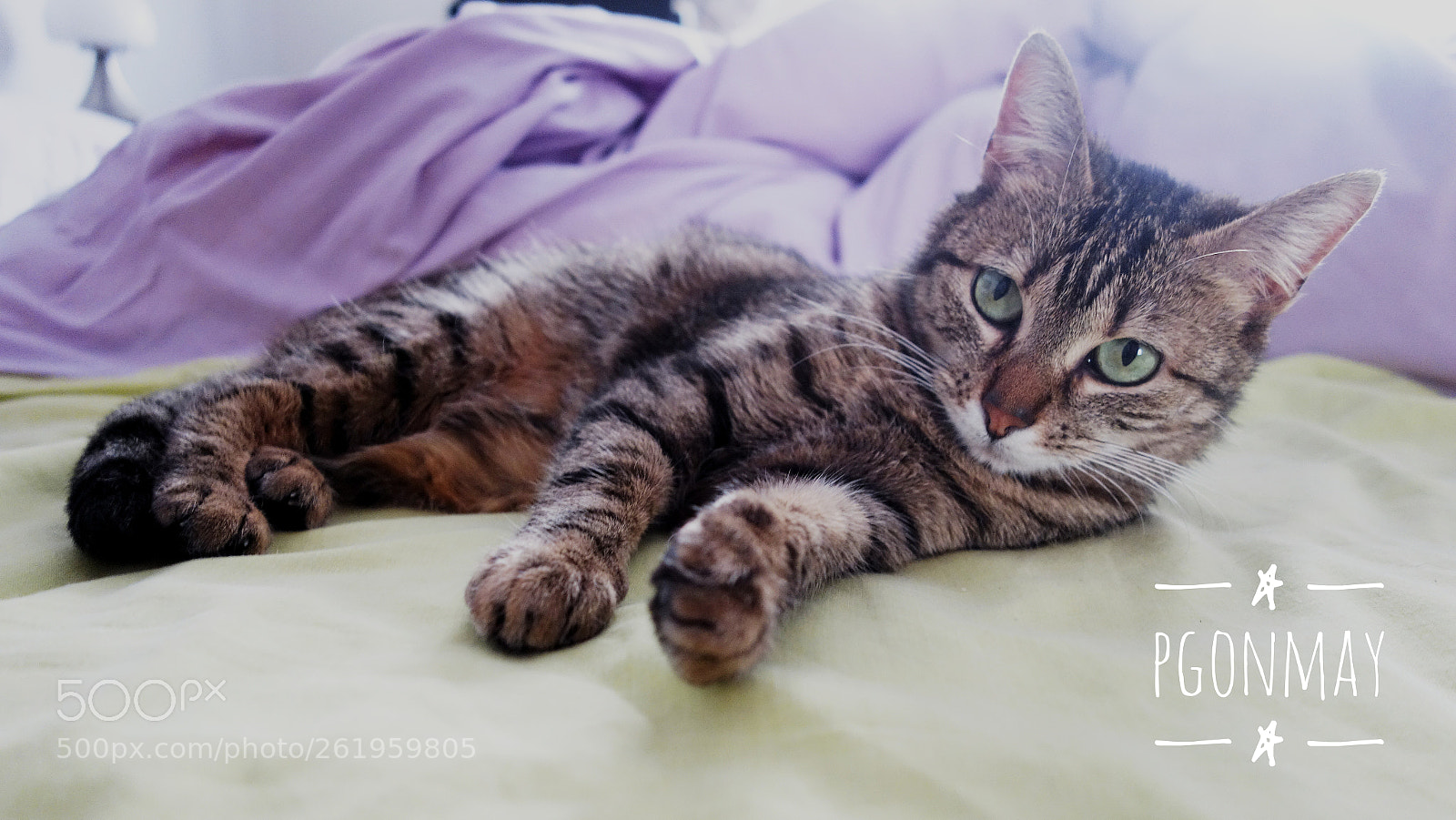 Sony Cyber-shot DSC-RX100 sample photo. Did you want to photography