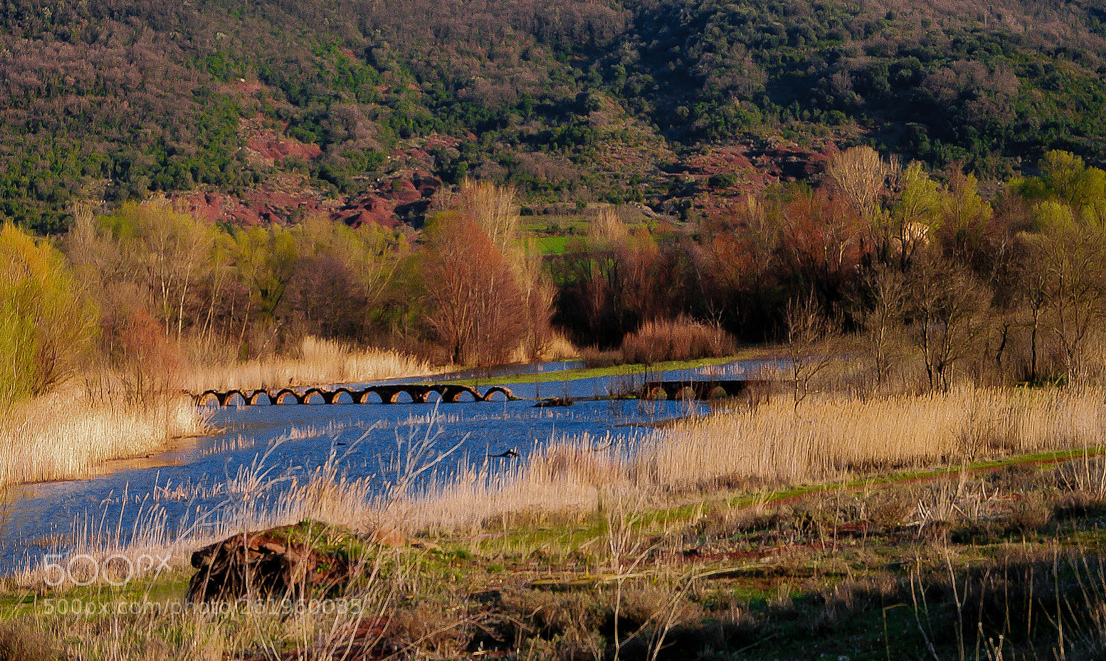 Pentax K-7 sample photo. Aqueduct of the reeds photography