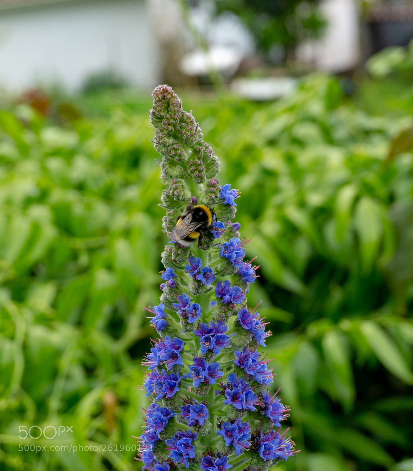Sony a6000 sample photo. _dsc9552-2.jpg photography