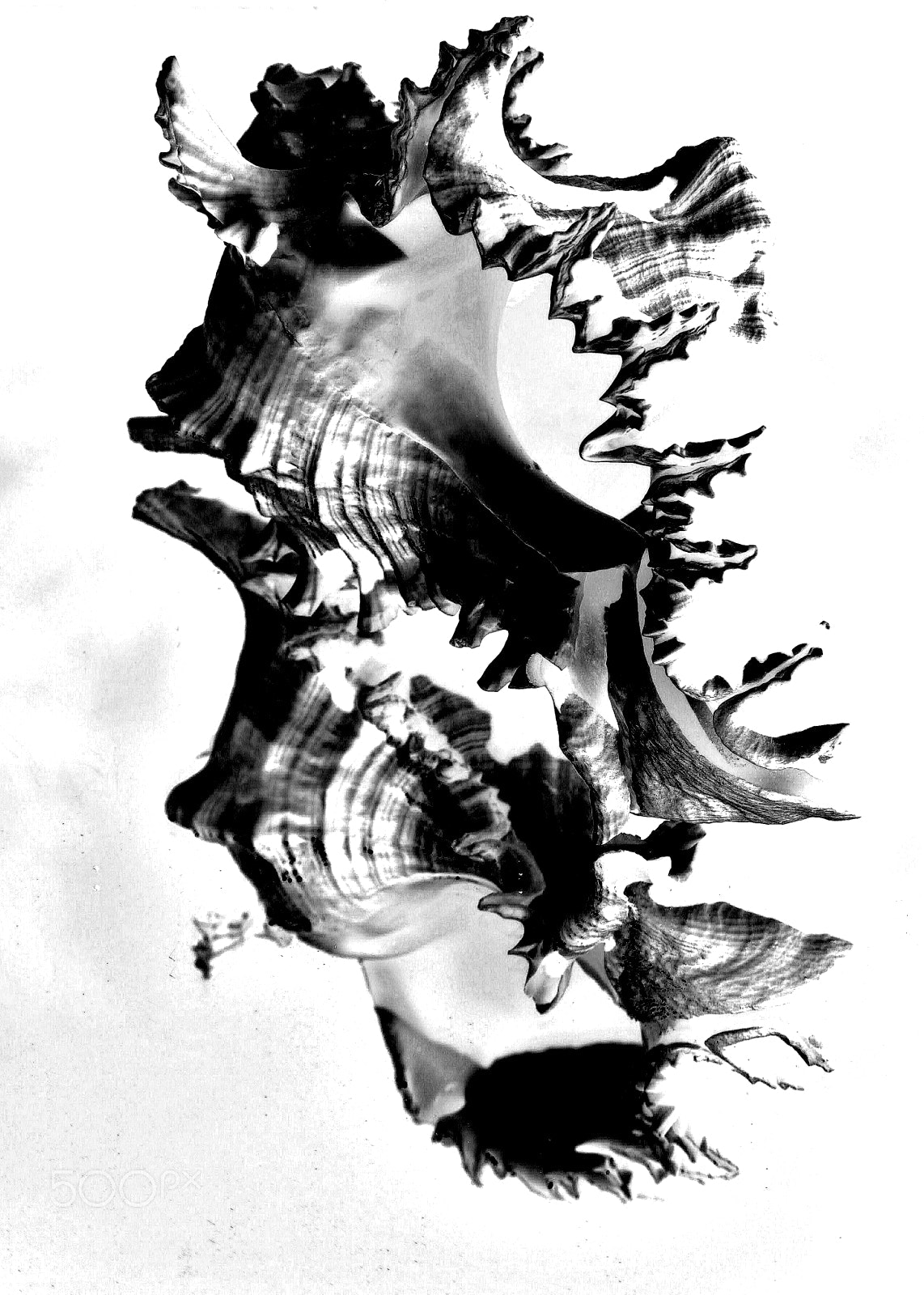 Nikon D3000 sample photo. Black and white sea photography