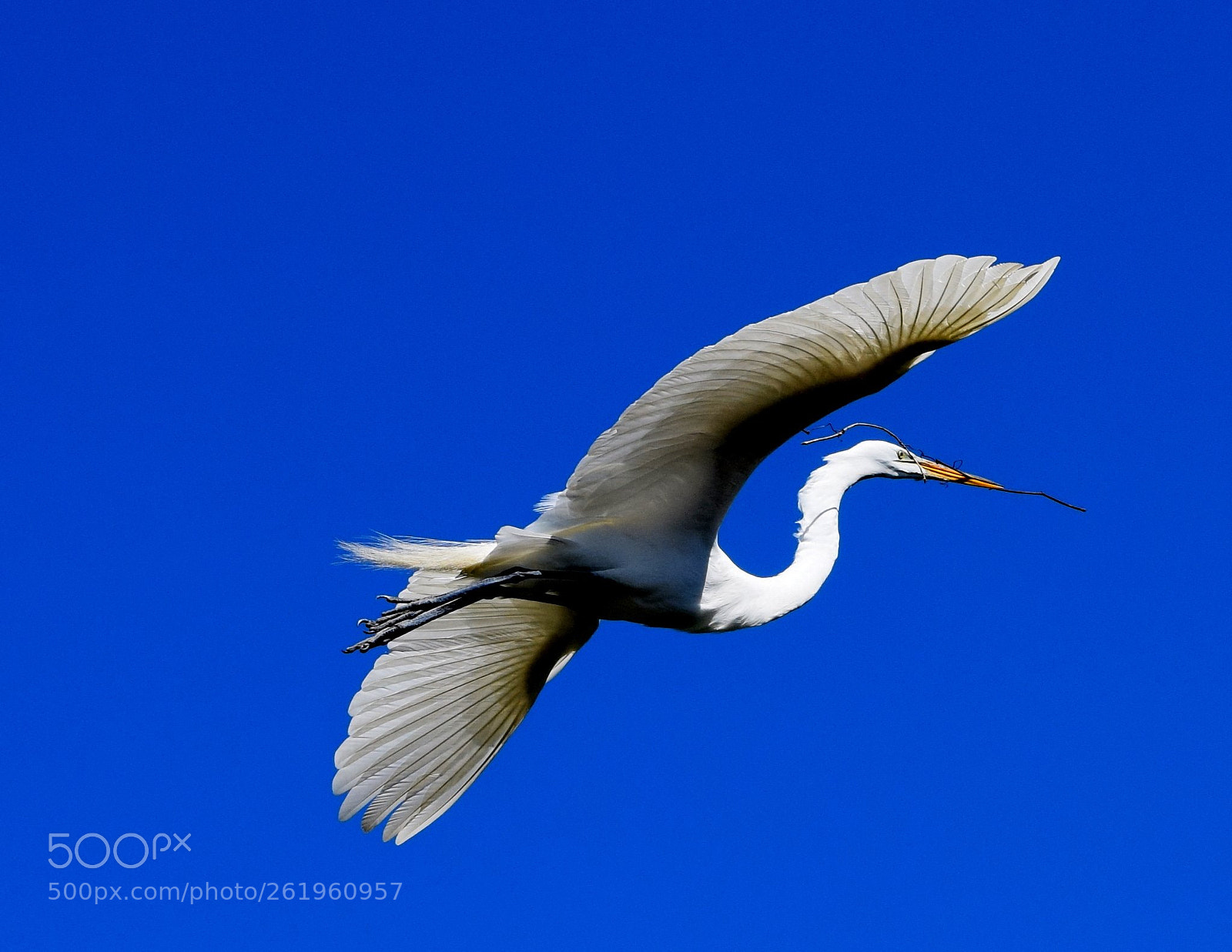 Nikon D5300 sample photo. Bird's eye view photography
