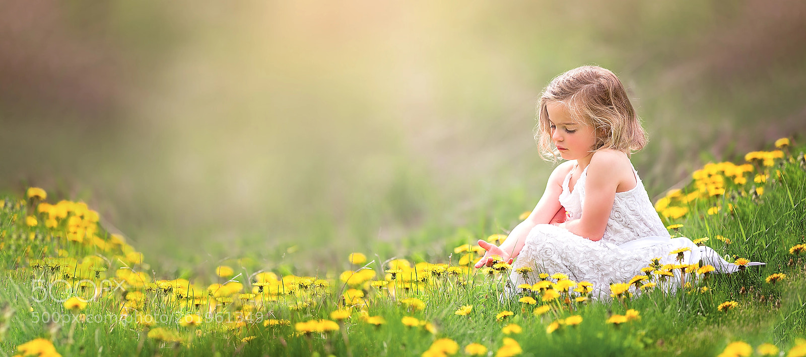 Canon EOS 6D sample photo. Field of dreams photography