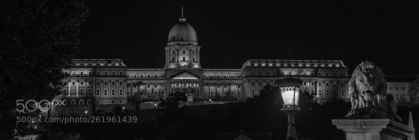 Nikon D7500 sample photo. Buda castle photography