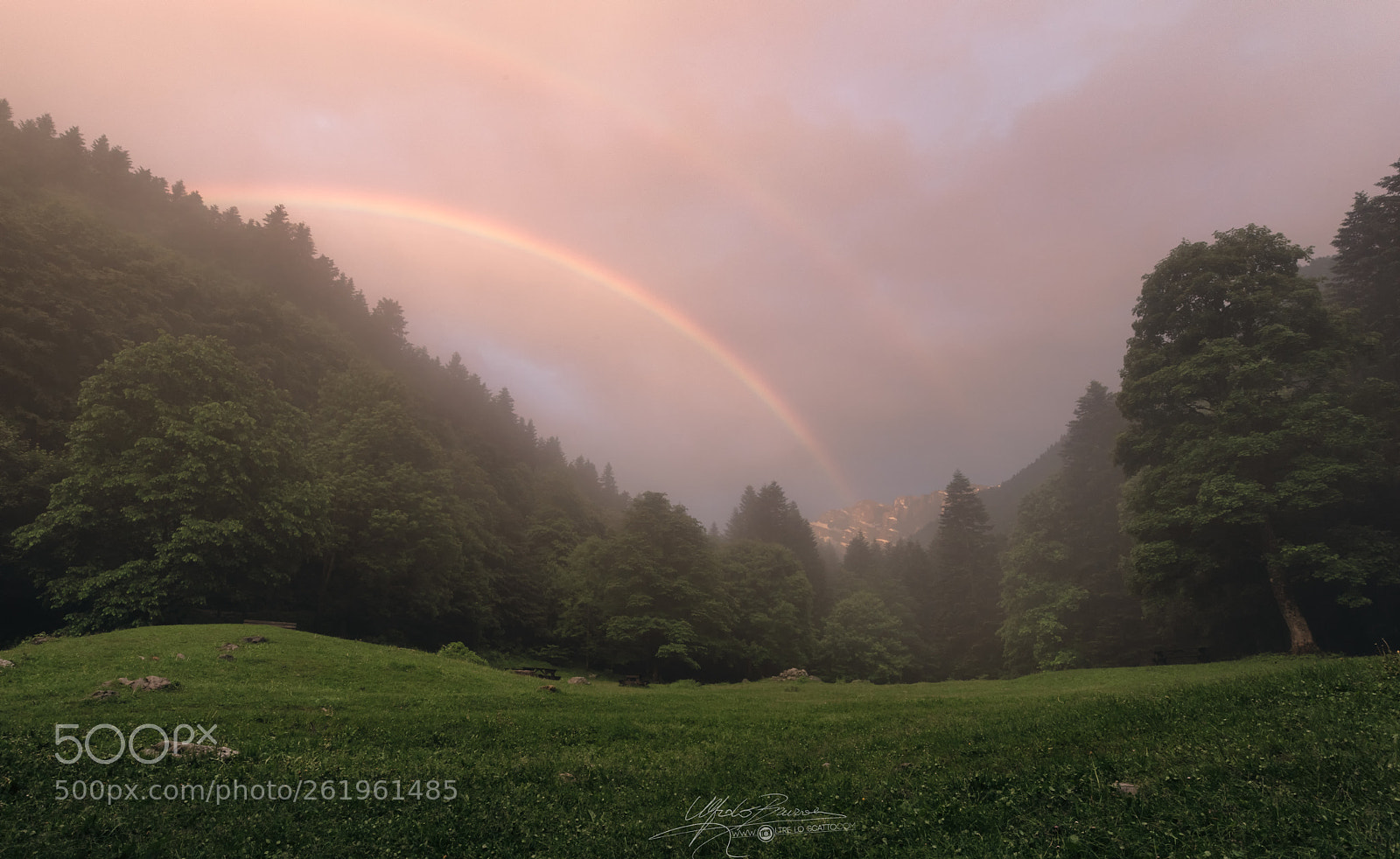 Nikon D810 sample photo. After the rain photography