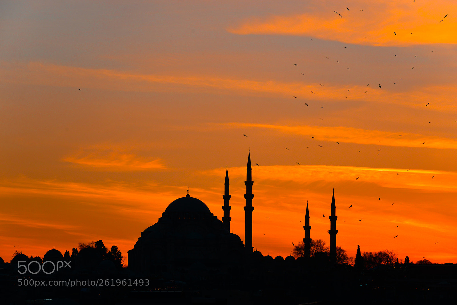 Nikon D610 sample photo. Sunset time in istanbul photography