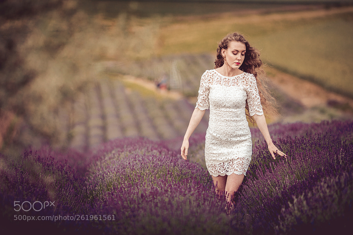 Canon EOS 5D Mark II sample photo. Lavender day photography