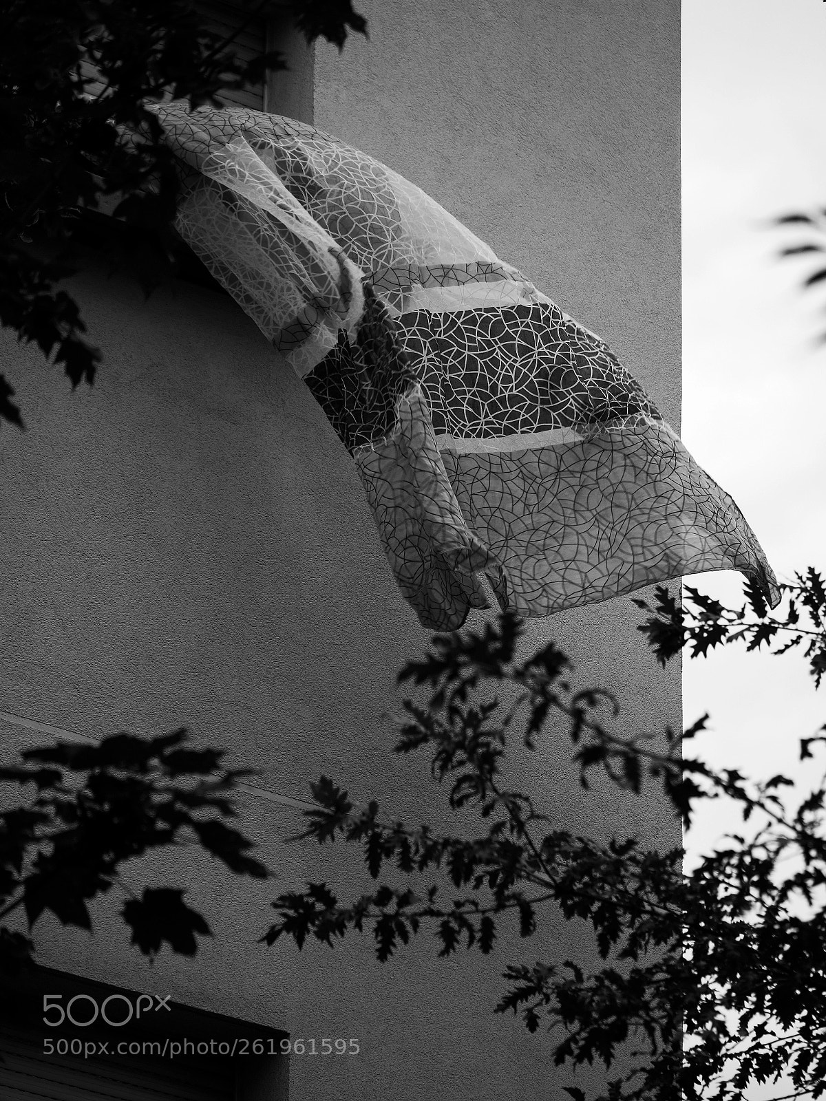 Panasonic Lumix DC-GX9 sample photo. Le vent photography