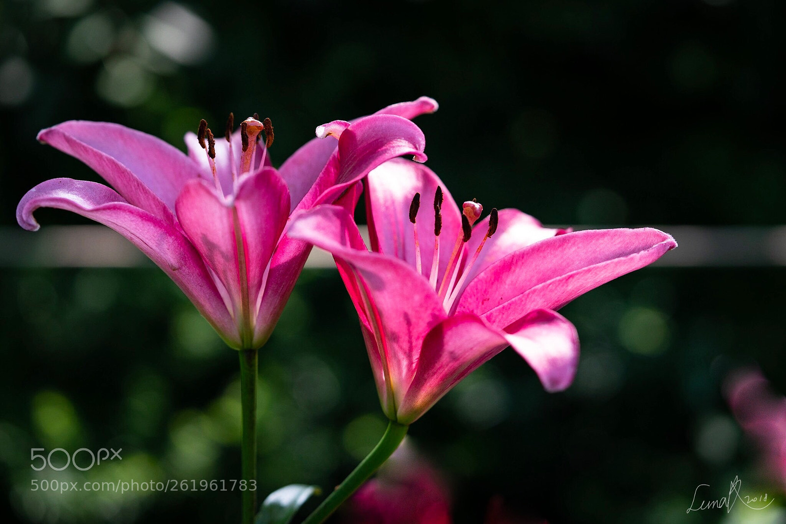 Sony a7R II sample photo. Light and shadow for photography